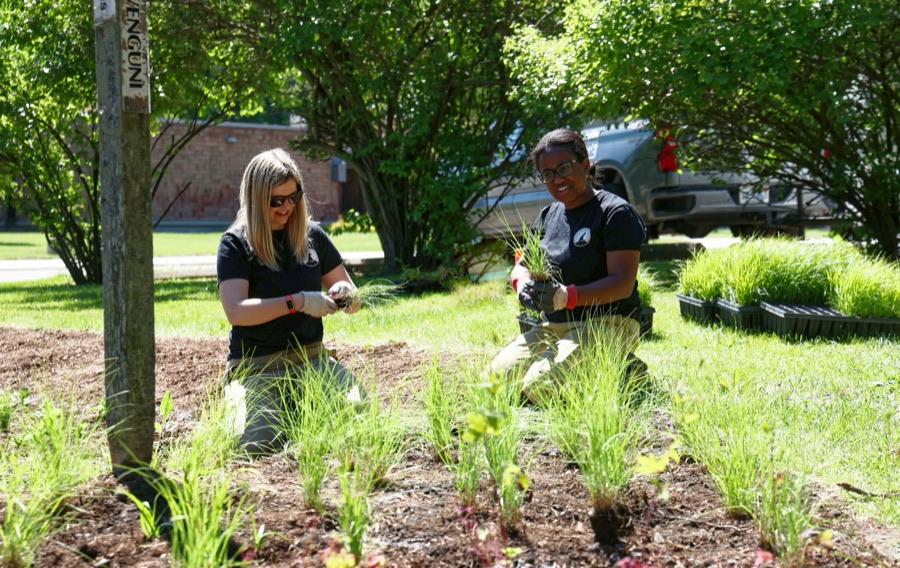Two volunteers planting native grasses together at a community rain garden build