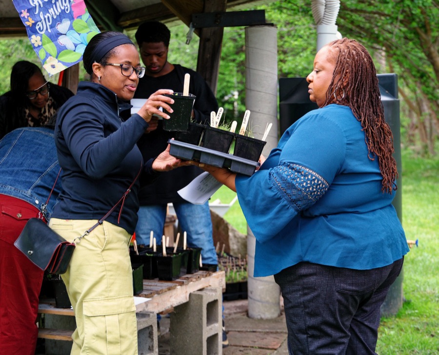 Tiffany Carey Jones handing a tray of seedlings to another woman