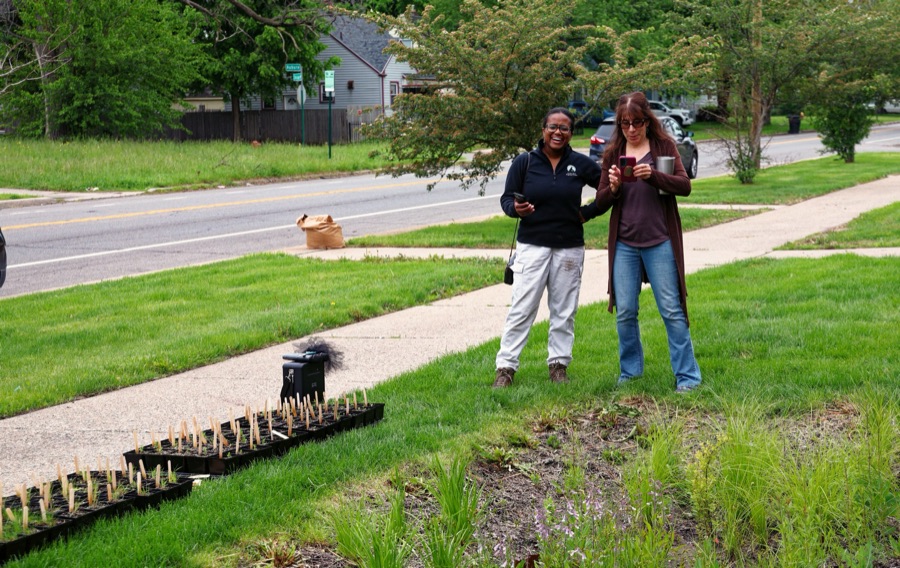 Tiffany Carey Jones laughing with a colleague on a Detroit sidewalk, native plant flats laid out beside them